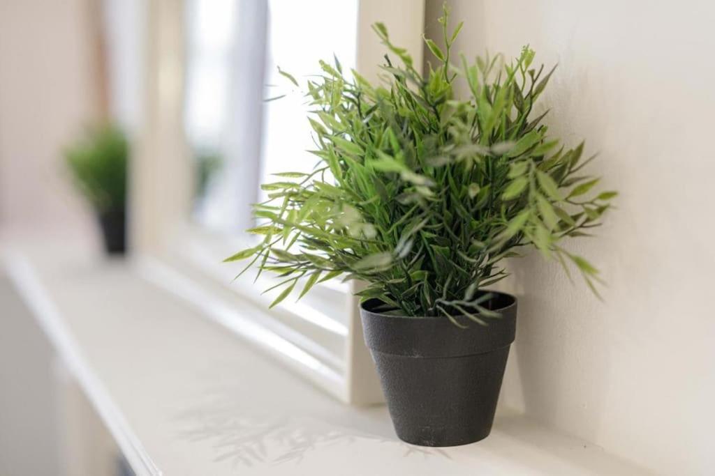 Central Wroclaw Apartment - City Center - Bright And Cozy - U11 المظهر الخارجي الصورة